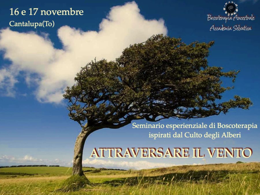 Boscoterapia®: "attraversare il vento"