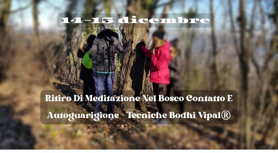 Ritiro di meditazione nel bosco