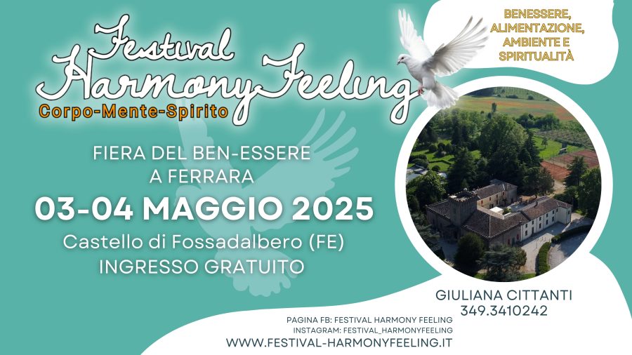 Festival Harmony Feeling