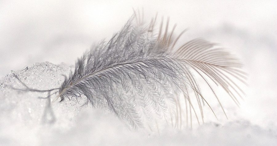 Scopri le tue abilità intuitive