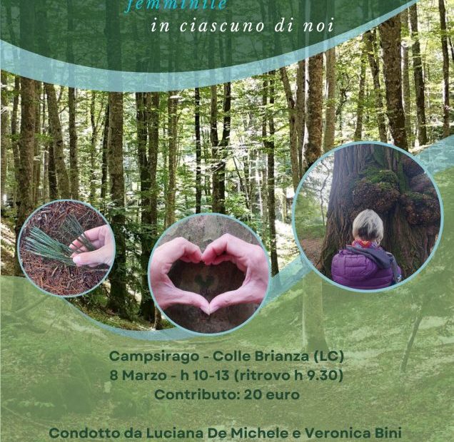 Forest Bathing dell'8 marzo