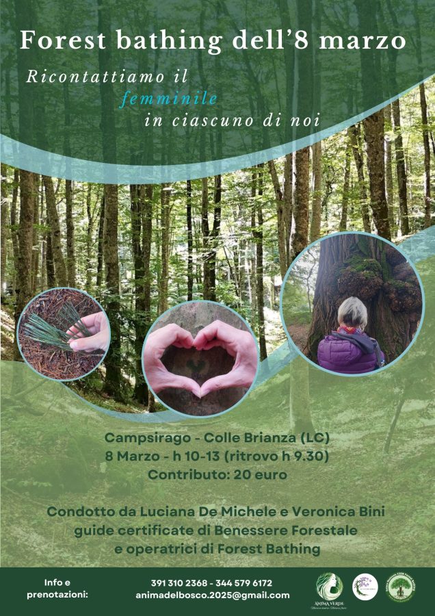 Forest Bathing dell'8 marzo