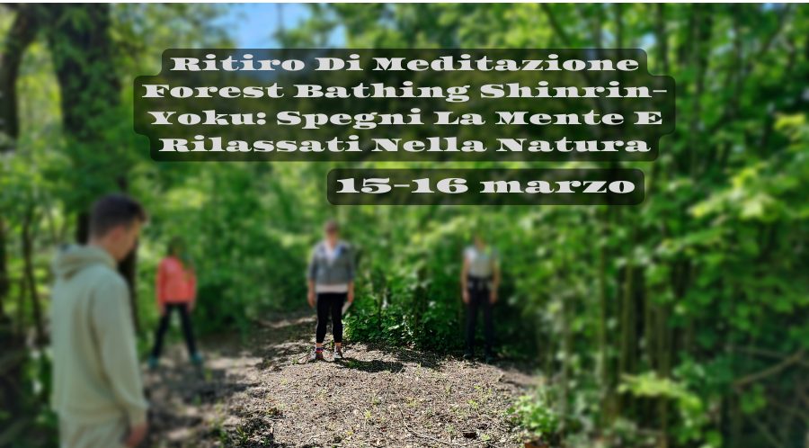 Ritiro di Meditazione Forest Bathing