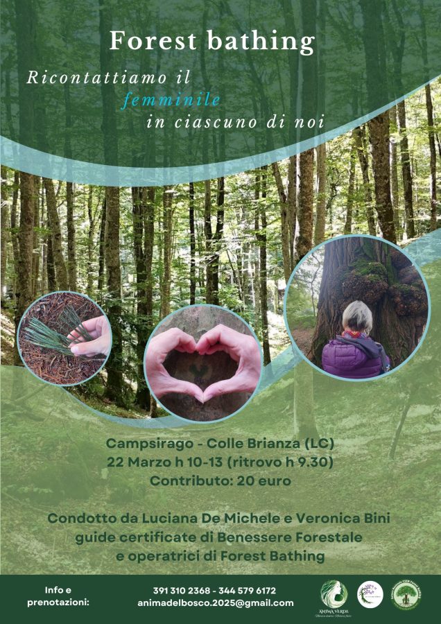 Forest bathing-ricontattiamo il Femminile