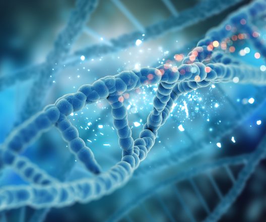 Seminari e sessioni ThetaHealing®