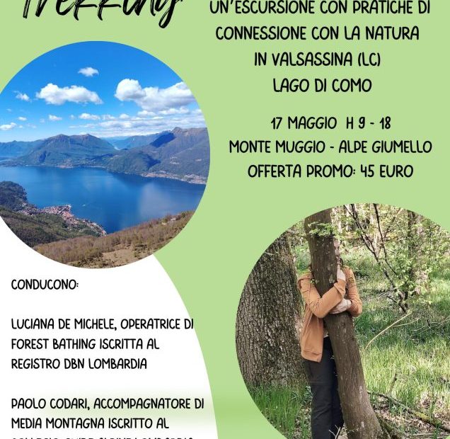 Forest Bathing Trekking