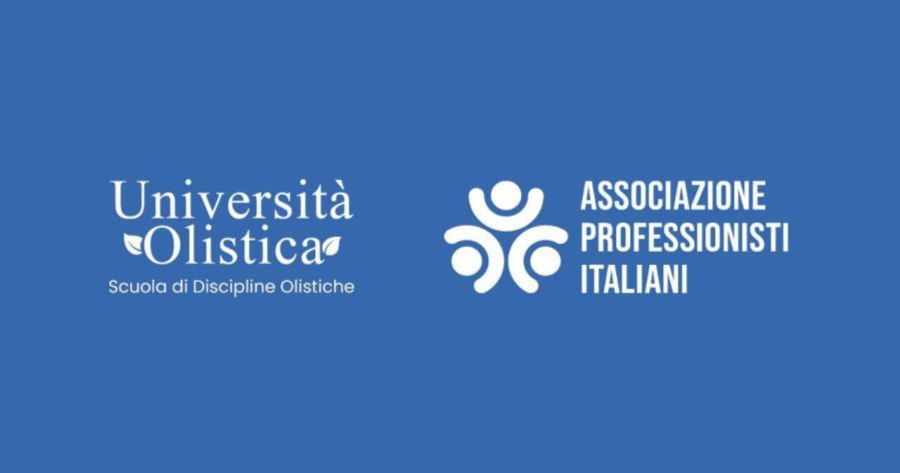 Associazione Professionisti Italiani