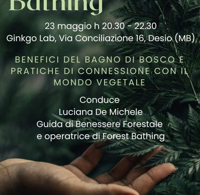 Una serata dedicata al Forest Bathing