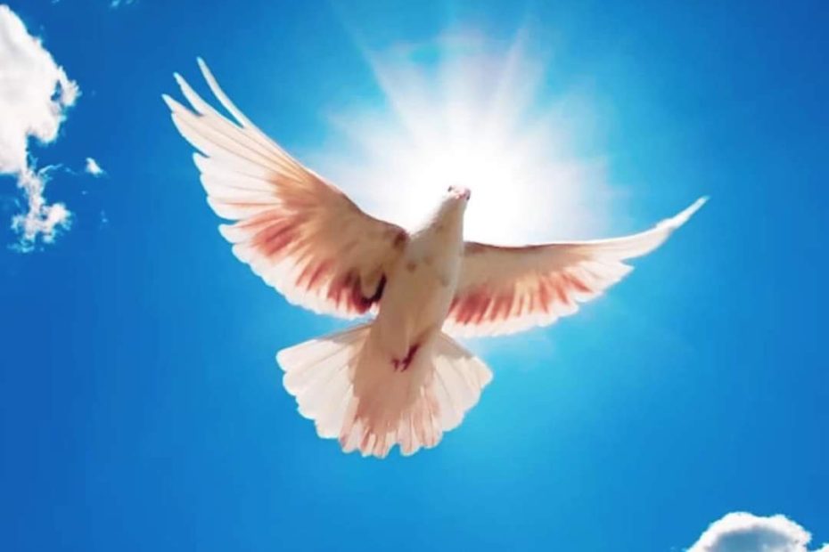 Passaggio delle Segnature