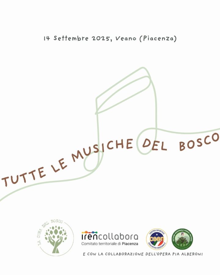 Tutte le musiche del bosco