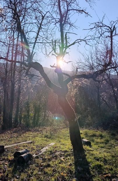 Primo livello Reiki in casentino