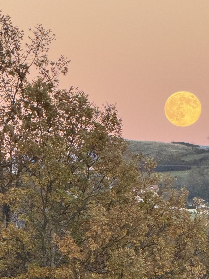 Meditazione sonora luna piena Roma Nerina Di Nunzio Gabriele Calanca gong campane tibetane febbraio