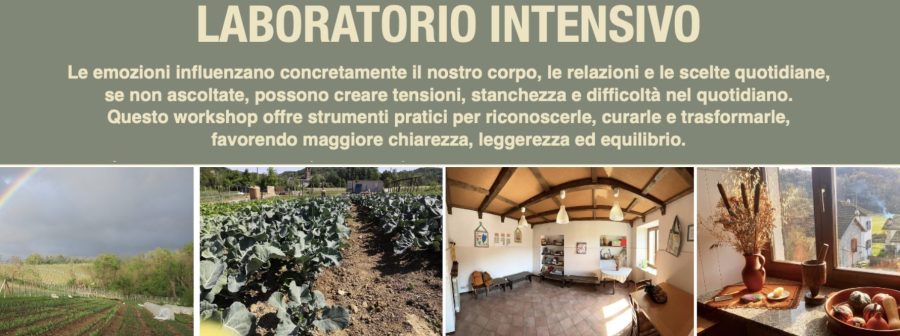 Workshop Diamo forma alle emozioni con espressione creativa e costellazioni