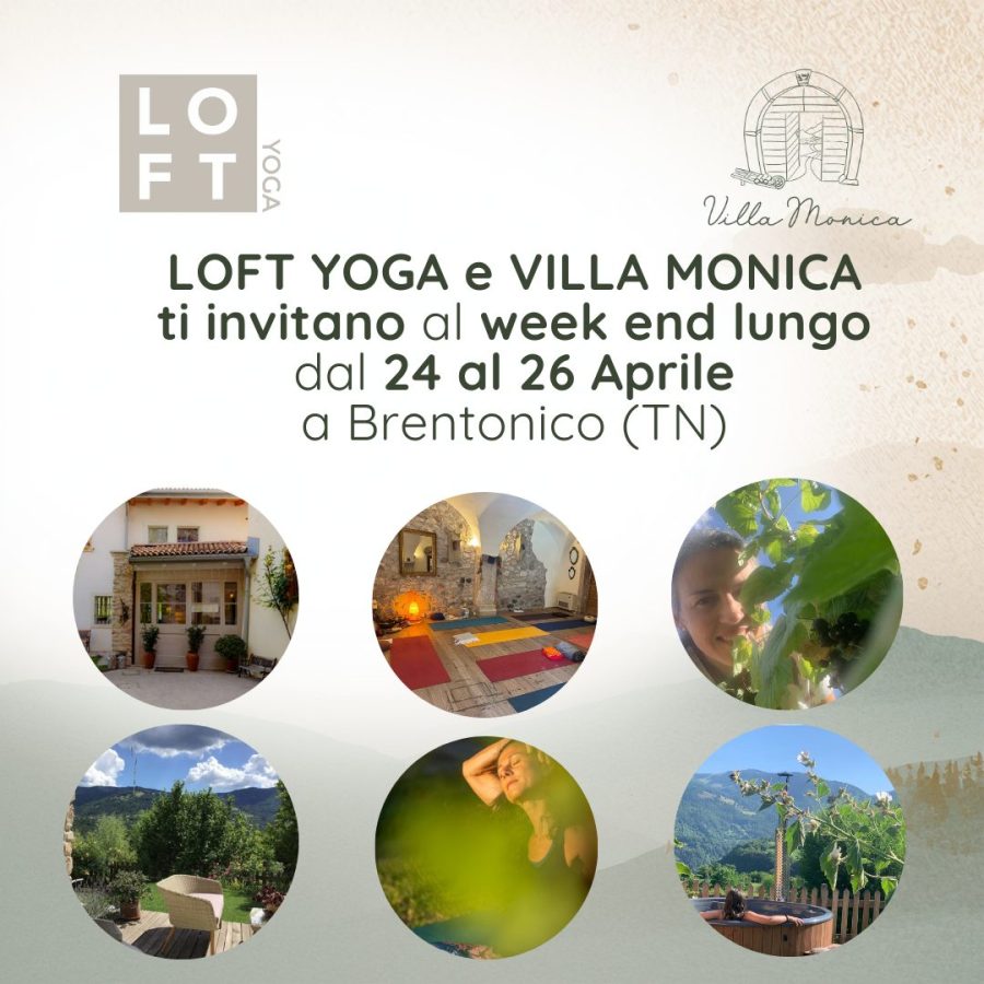 Rimanere Essenziali Yoga e Detox Altopiano Brentonico con piante spontanee e pratiche nella natura