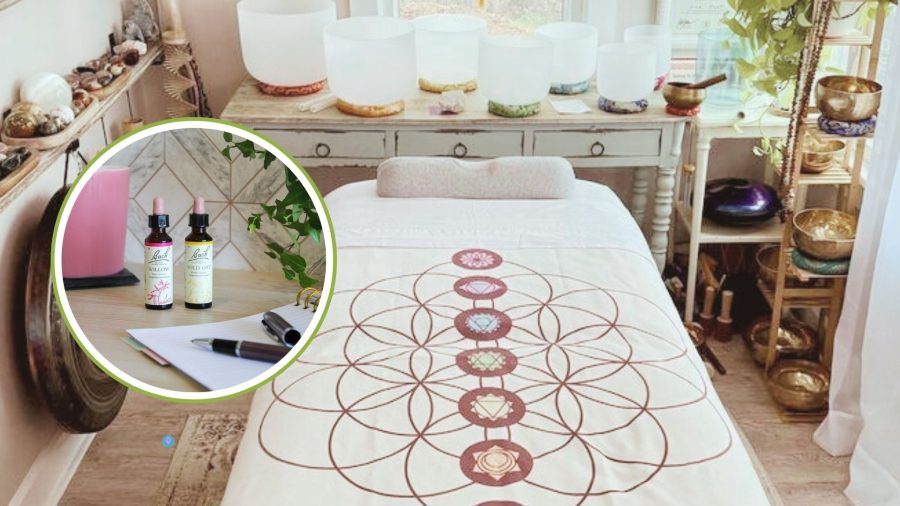 Giornata di purificazione emozionale e fiori di Bach a Milano con Alessandra Moroni