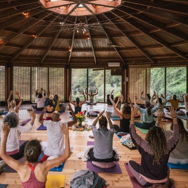 Yoga Fest!