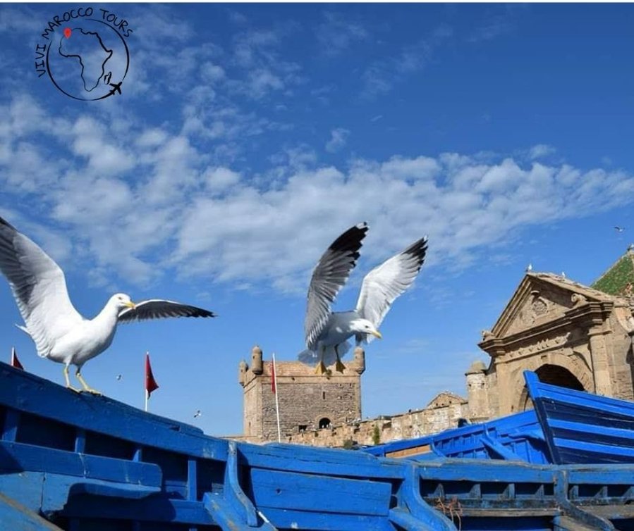 Viaggio in Marocco: il sentiero del blu tra oceano e montagne