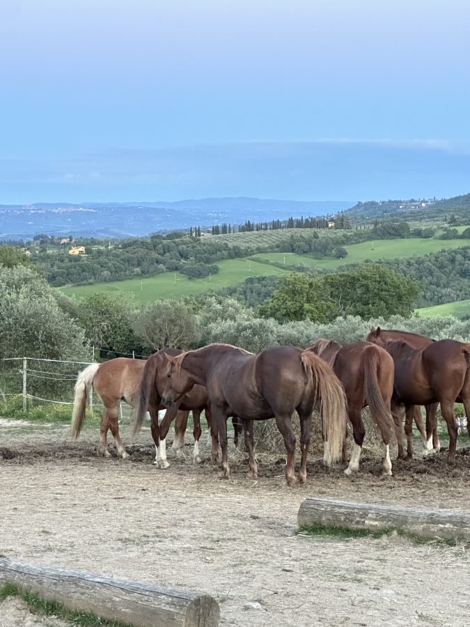 Arcanum: esperienza di trasformazione e riconnessione interiore
