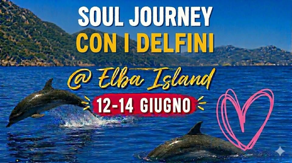 Soul Journey con i delfini all'Isola d'Elba