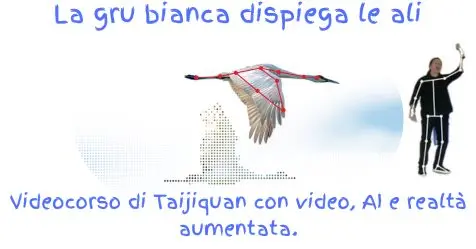 Videocorso di Taiji in realtà aumentata