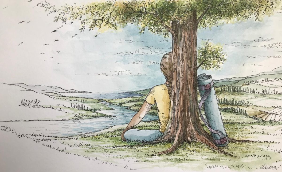 Ritiro Ashtanga Yoga a Ferragosto: Natura, Pratica e Consapevolezza