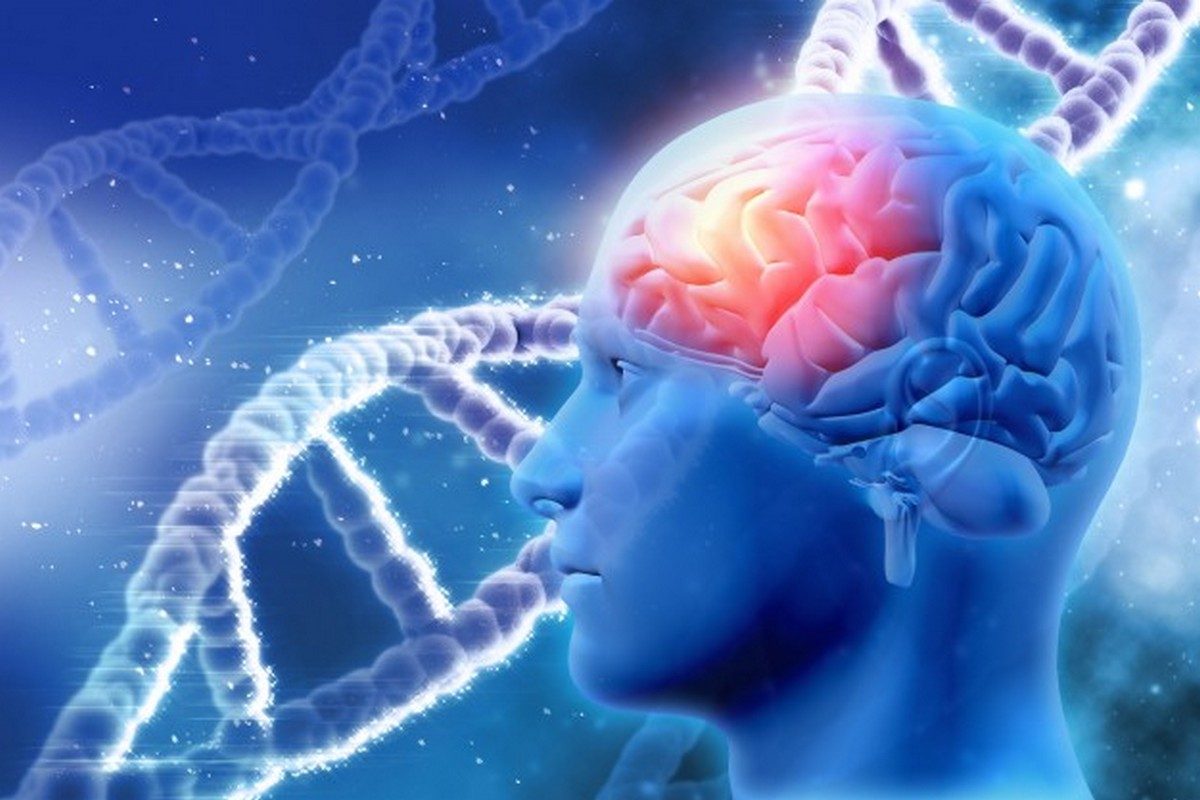 Workshop: I 12 Strati del DNA