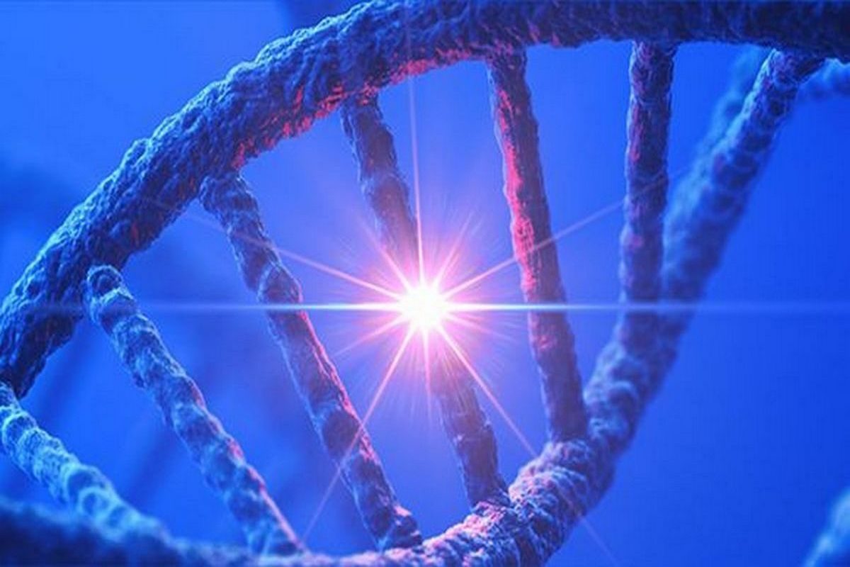 Conferenza: I 12 strati del DNA