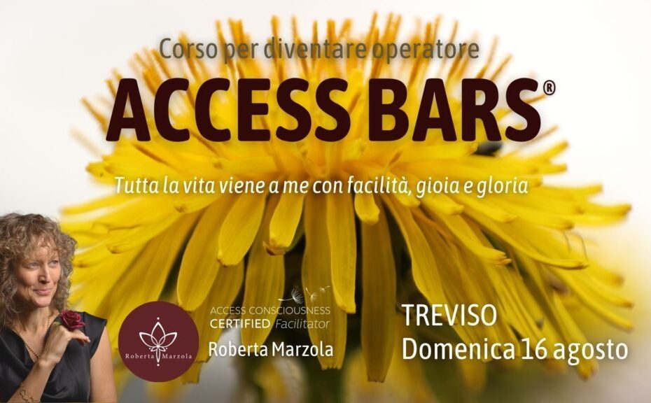 Classe Access Bars®