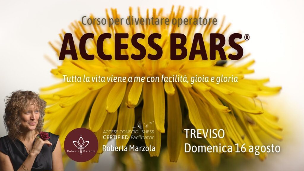 Classe Access Bars a Treviso