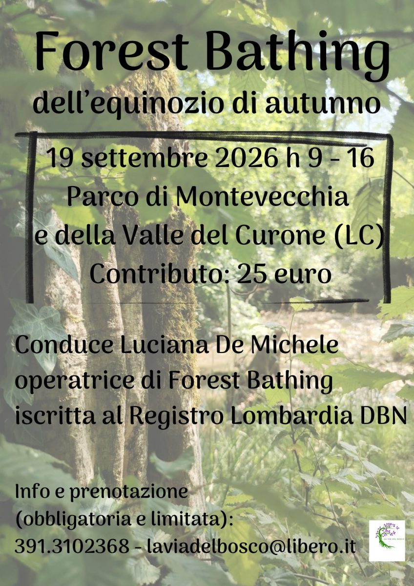 Forest Bathing dell'equinozio d'autunno