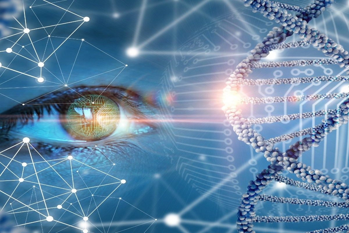 Workshop: I 12 Strati del DNA