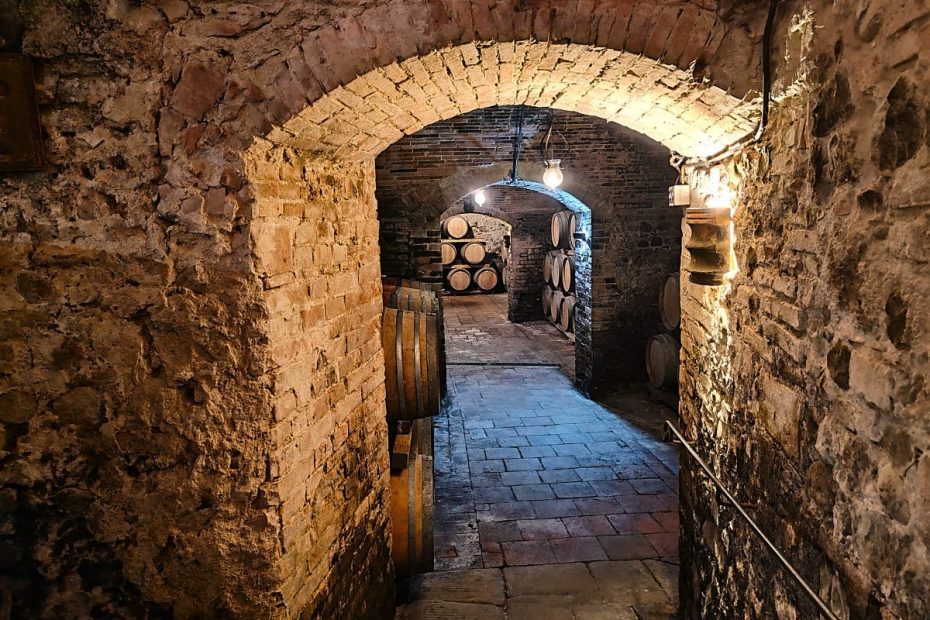 Equinozio d'Autunno in Cantina in Fattoria