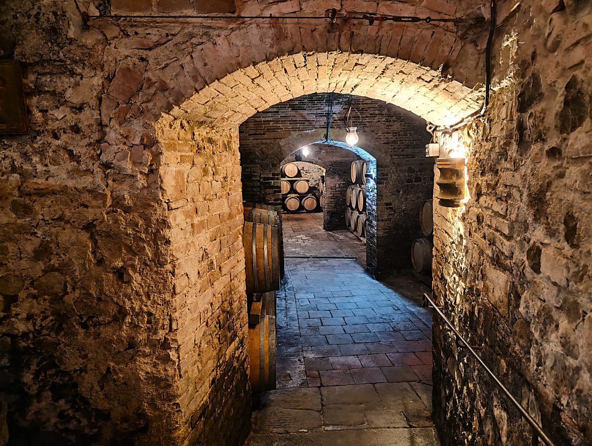 Equinozio d'Autunno in Cantina alla Fattoria Poggio Capponi